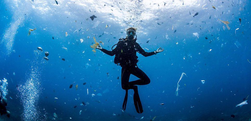 Seulement 13% des océans de la planète peuvent encore être considérés comme sauvages