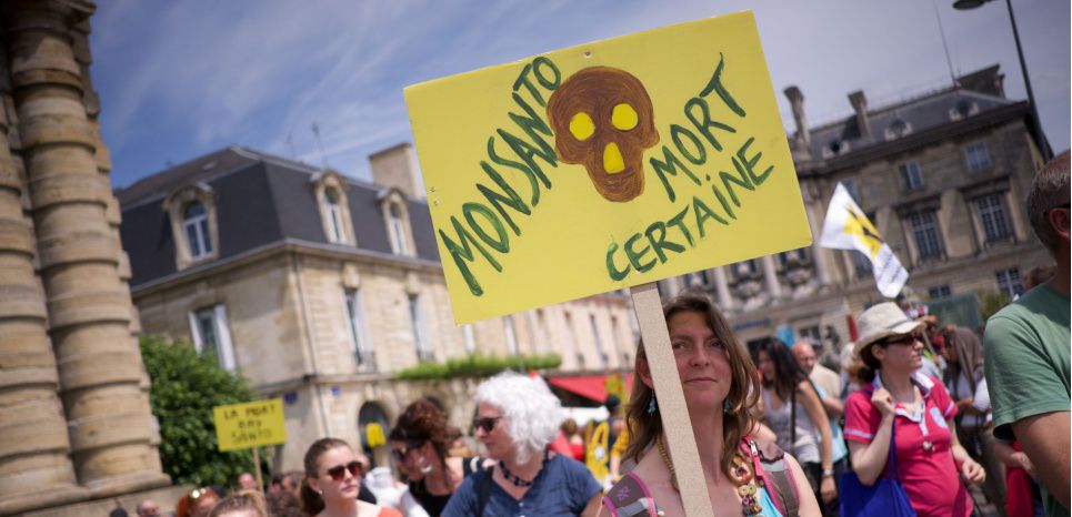 'Le début d'une guerre' : Les espoirs des anti-pesticides après la condamnation de Monsanto