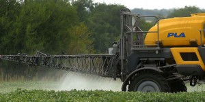 EELV va contester en urgence la légalité du glyphosate de Monsanto