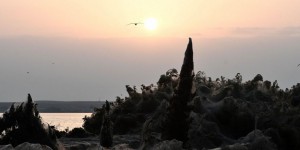 Grèce : un lac pris dans une toile d'araignée géante