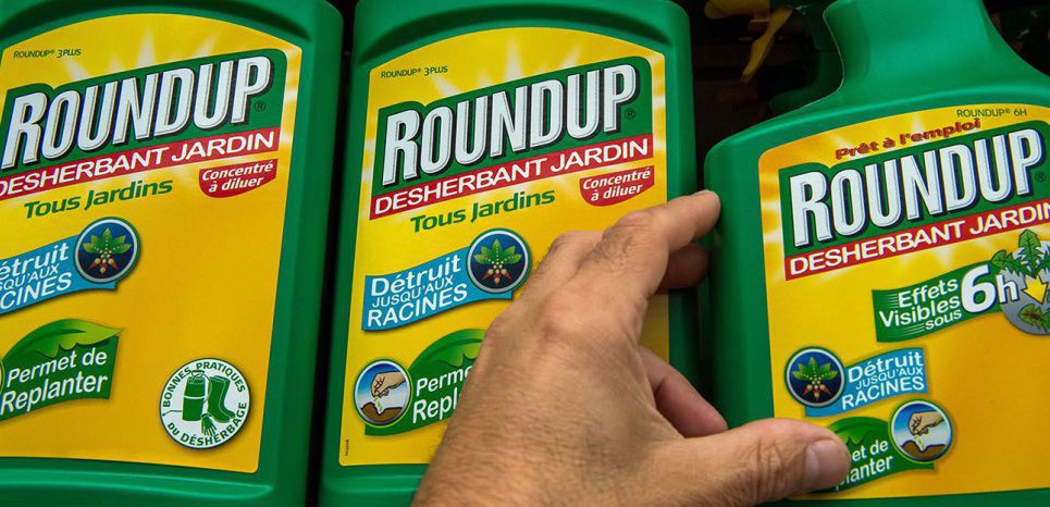 Glyphosate: la justice annule l'autorisation de mise sur le marché du Roundup Pro 360