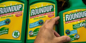 Glyphosate: la justice annule l'autorisation de mise sur le marché du Roundup Pro 360