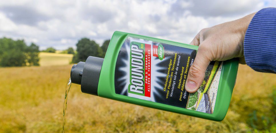 Glyphosate : Monsanto doit répondre d'un autre cancer devant la justice aux Etats-Unis