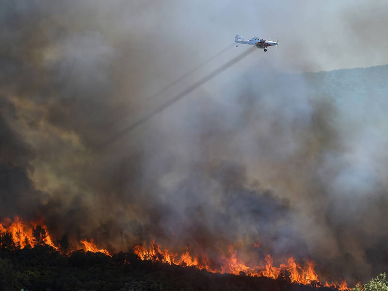 Dès le 1er juin, Météo-France diffusera une « météo des forêts » qui alertera sur le risque d’incendie