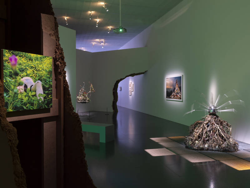 « Diminuer, ralentir, renoncer » : comment les musées passent au vert