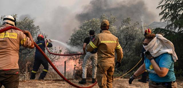 Incendies en Grèce : l’écosystème « en danger », selon des experts
