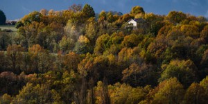 Lancement de l’observatoire des forêts françaises pour faire au changement climatique