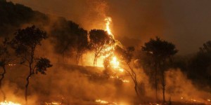 Incendies en Grèce : plus de 150 000 hectares sont déjà partis en fumée cet été