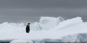 La surface maximale annuelle de la banquise de l’Antarctique n’a jamais été aussi petite