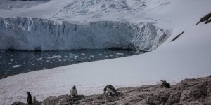 Climat : une étude pointe l’« inévitable » et rapide fonte de la calotte glaciaire dans l’Antarctique occidental