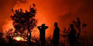 Visualisez l’ampleur des incendies qui ont ravagé la planète en 2023