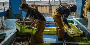 Les bateaux de pêche les plus dévastateurs sont les plus subventionnés, révèle une étude