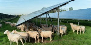 La France toujours en retard dans les énergies renouvelables, malgré les progrès du solaire
