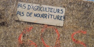 Normes, Ecophyto… Les réponses du gouvernement à la colère agricole risquent d’être contreproductives