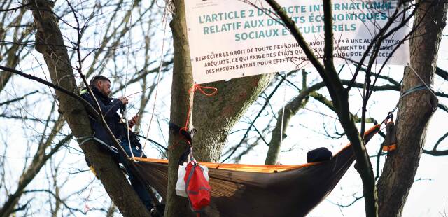 Autoroute A69 : deux militants dans un arbre à Bruxelles appellent à « faire respecter les droits » des opposants