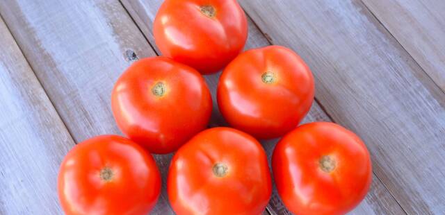 Climat : peut-on encore manger des tomates ?