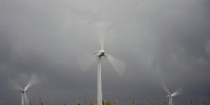 Les éoliennes allemandes ont produit 40% de l'électricité du pays