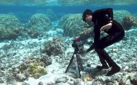 Un drone pour cartographier la répartition des coraux
