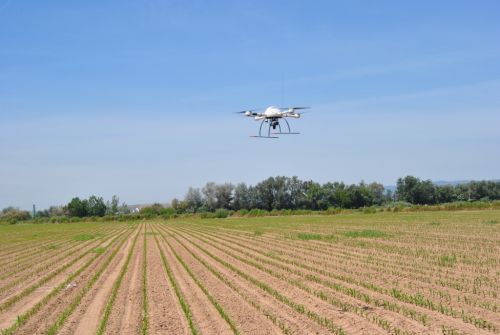 Agriculture : des drones pourraient limiter l’usage des herbicides