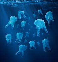 Les microplastiques, poisons négligés des écosystèmes marins