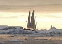 Plancton arctique : belle moisson du voilier Tara, de retour en Bretagne