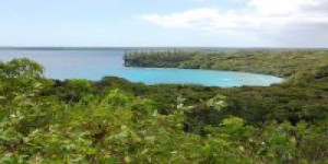 Pour sauver les coraux, protégeons les arbres : la preuve aux Fidji