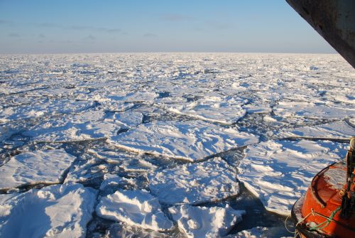 Les glaces de la banquise arctique polluées par du plastique