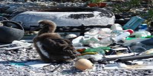 Dossier : Les déchets plastiques en mer sont-ils un 7ème continent ?