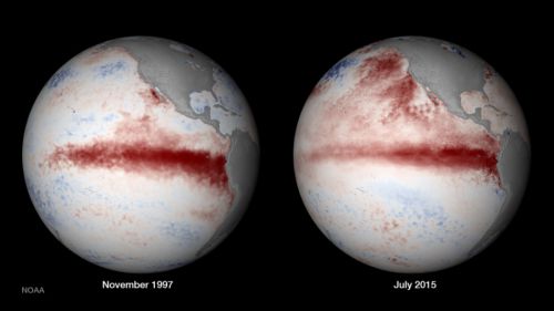 Réchauffement : un El Niño inhabituel et des records de chaleur en 2015