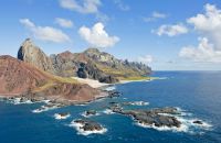 Biodiversité : une île dévastée, Trindade, se repeuple lentement