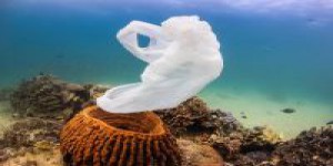 Déchets plastique dans l'océan : en 2050, il y en aura plus que de poissons