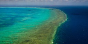 La Grande Barrière de corail de plus en plus menacée