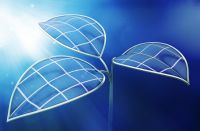 Photosynthèse : une feuille bionique dix fois plus efficace que la nature