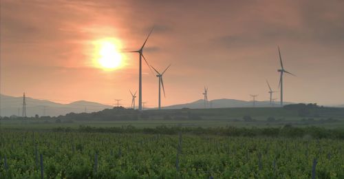 Des pales furtives pour le plus puissant parc éolien français