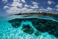 Pour les récifs coralliens, les aires protégées... ne protègent pas si bien