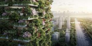 Des tours végétales pour purifier l'air des villes en Chine