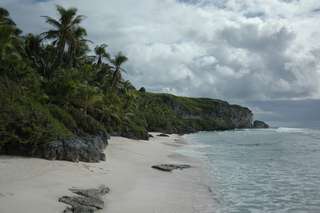 L’île isolée d’Henderson dans le Pacifique bat le record de pollution par le plastique