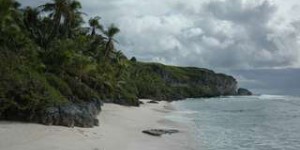 L’île isolée d’Henderson dans le Pacifique bat le record de pollution par le plastique