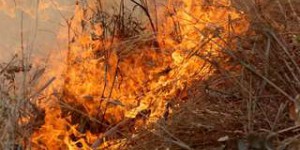 Réchauffement : de plus en plus de risques d'incendies dans l'Europe méditerranéenne
