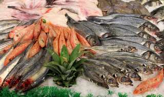 La quasi-totalité des poissons en grandes surfaces provient de pêches non durables