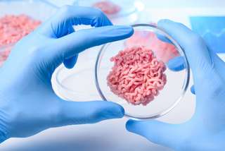 Viande in vitro : encore pire pour la planète que la vraie ?