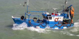 Pêche : deux fois plus de bateaux pour 80 % de poisson en moins
