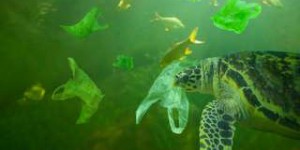 G20 : un accord pour lutter contre la pollution plastique en mer