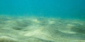 Océan : cartographier les fonds marins en HD en un temps record, un défi