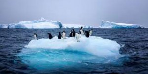 Antarctique : on sait pourquoi les plateformes de glace fondent rapidement