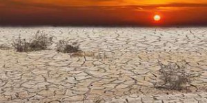 11.000 scientifiques déclarent l'urgence climatique