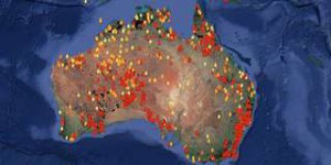 Australie : 3 millions d’hectares en feu et au moins un tiers des koalas victimes des incendies