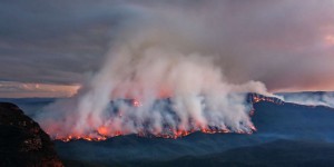 Australie : des incendies aux multiples conséquences