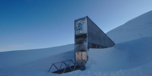 Arctique : la plus grande réserve de graines au monde s'enrichit