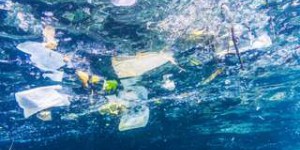 Comment les microplastiques atteignent les fonds marins